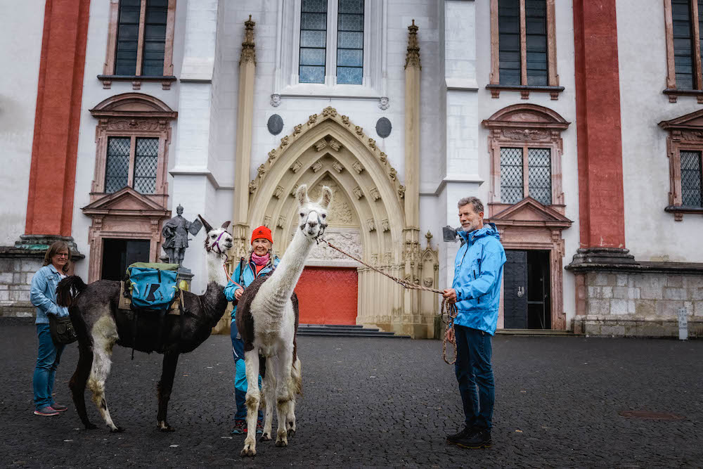 Pilgern mit Lamas