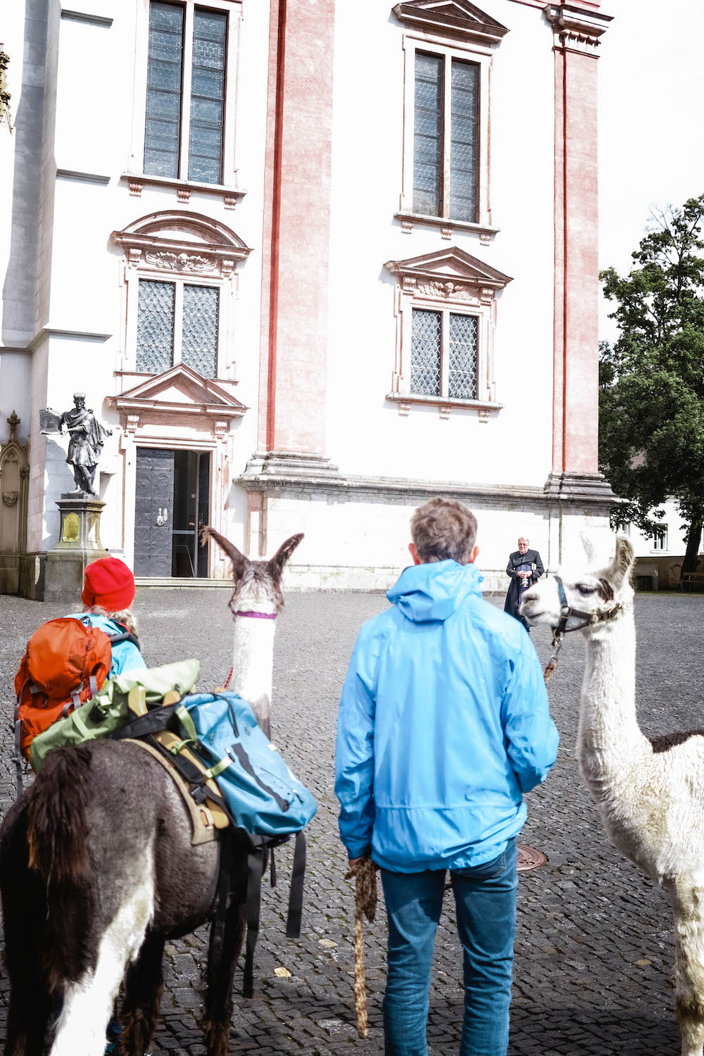 Pilgern mit Lamas