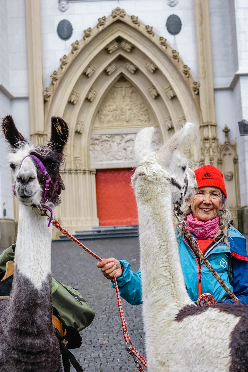 Pilgern mit Lamas