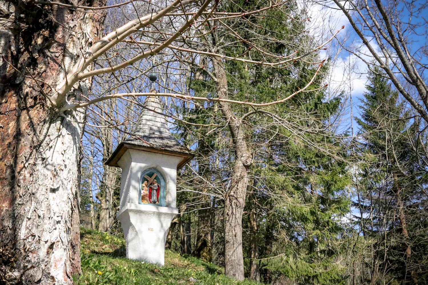 Basilika Mariazell - Kreuzweg auf den Kalvarienberg 2019 